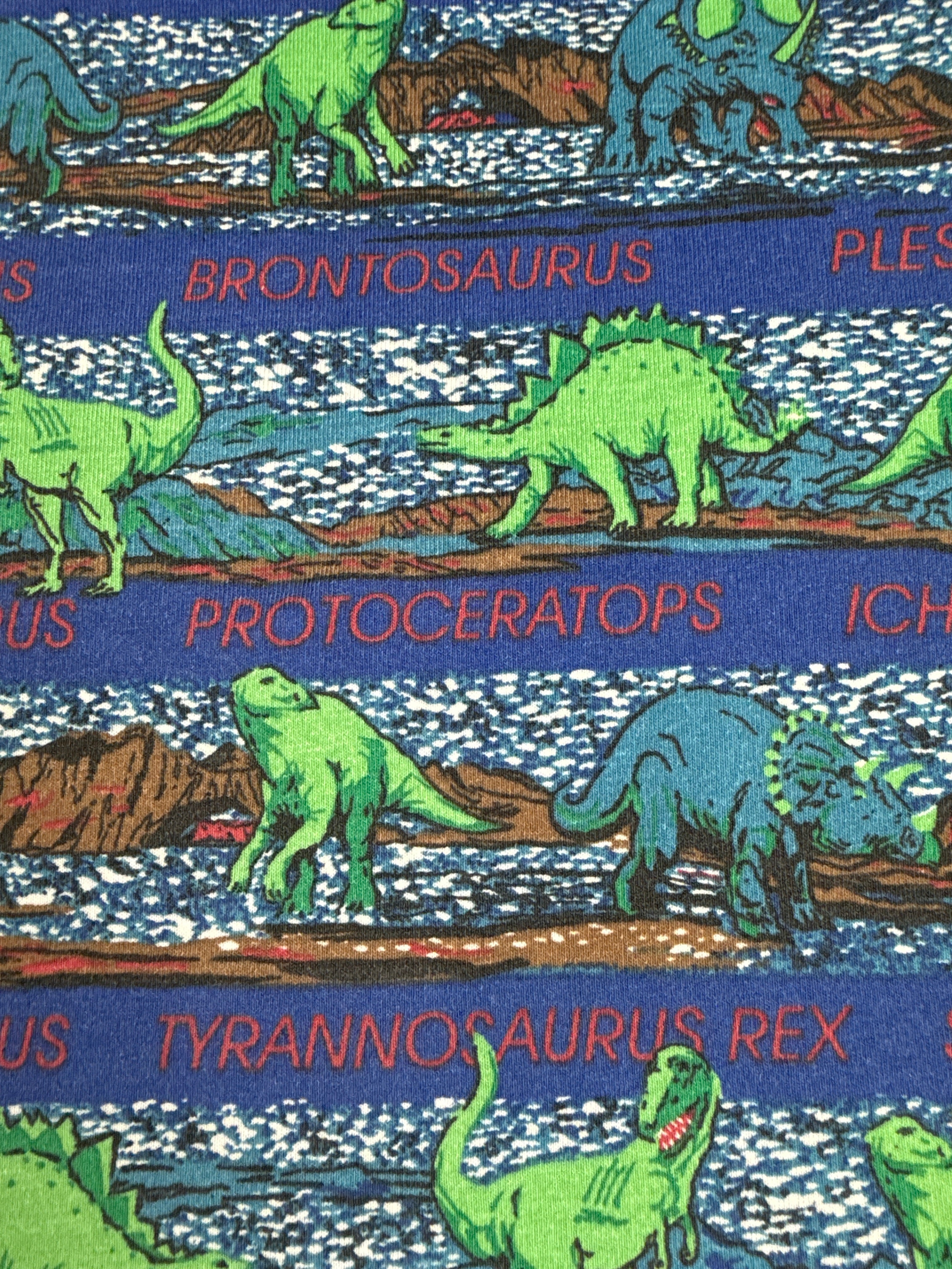 Vintage Dinosaur AOP 3/4T