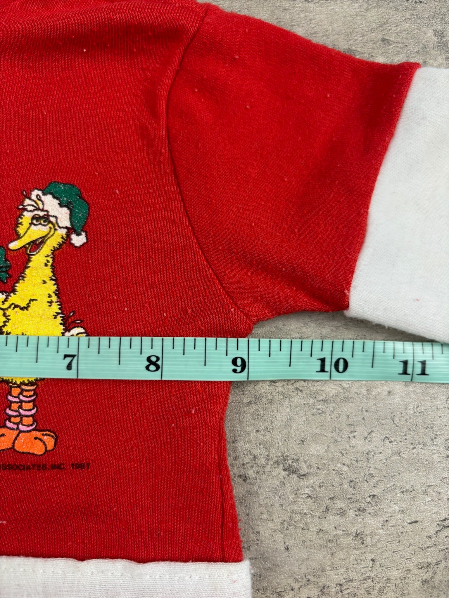 Vintage Holiday Big Bird PJ Footie 9-12 Months