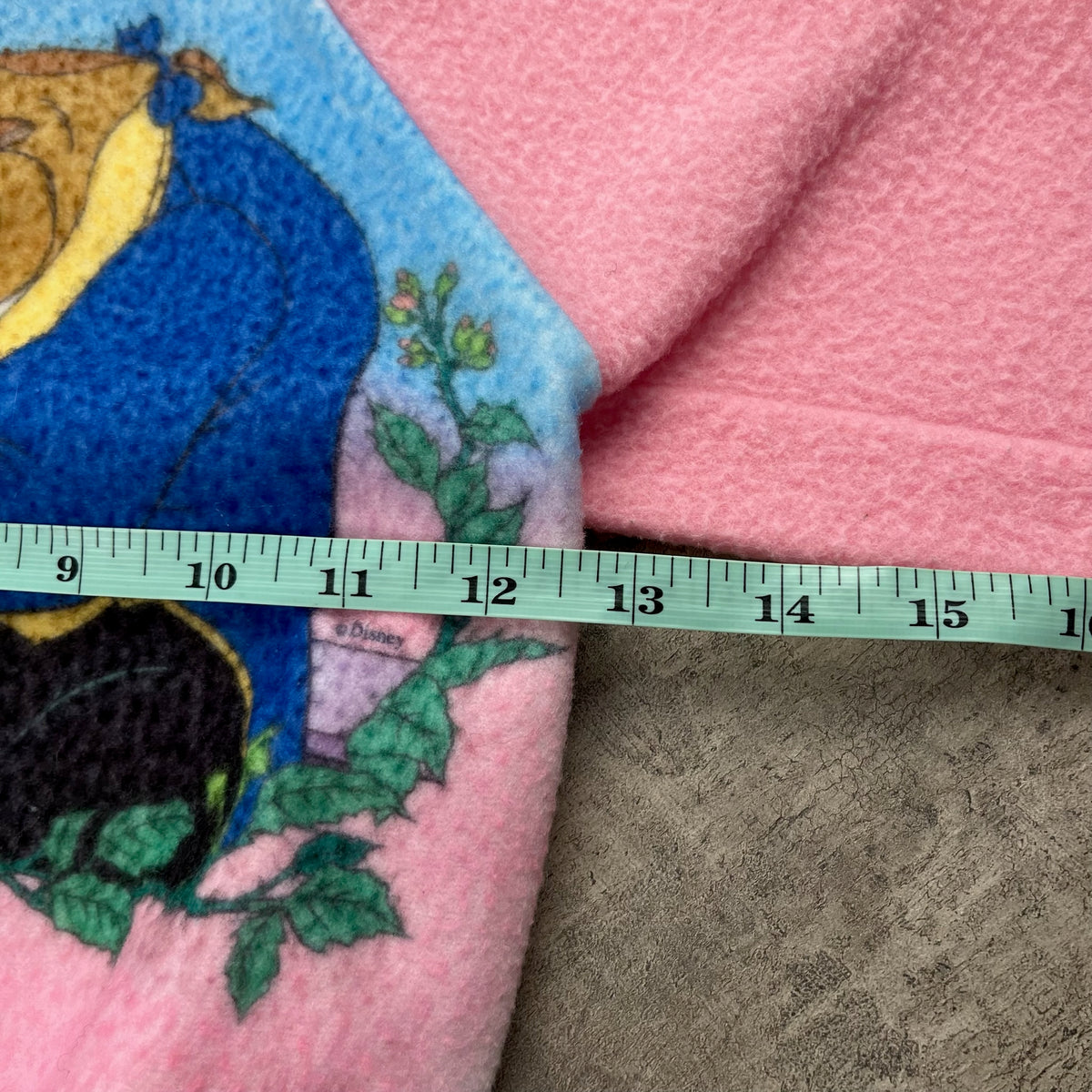 Vintage Beauty and the Beast Crew 2T