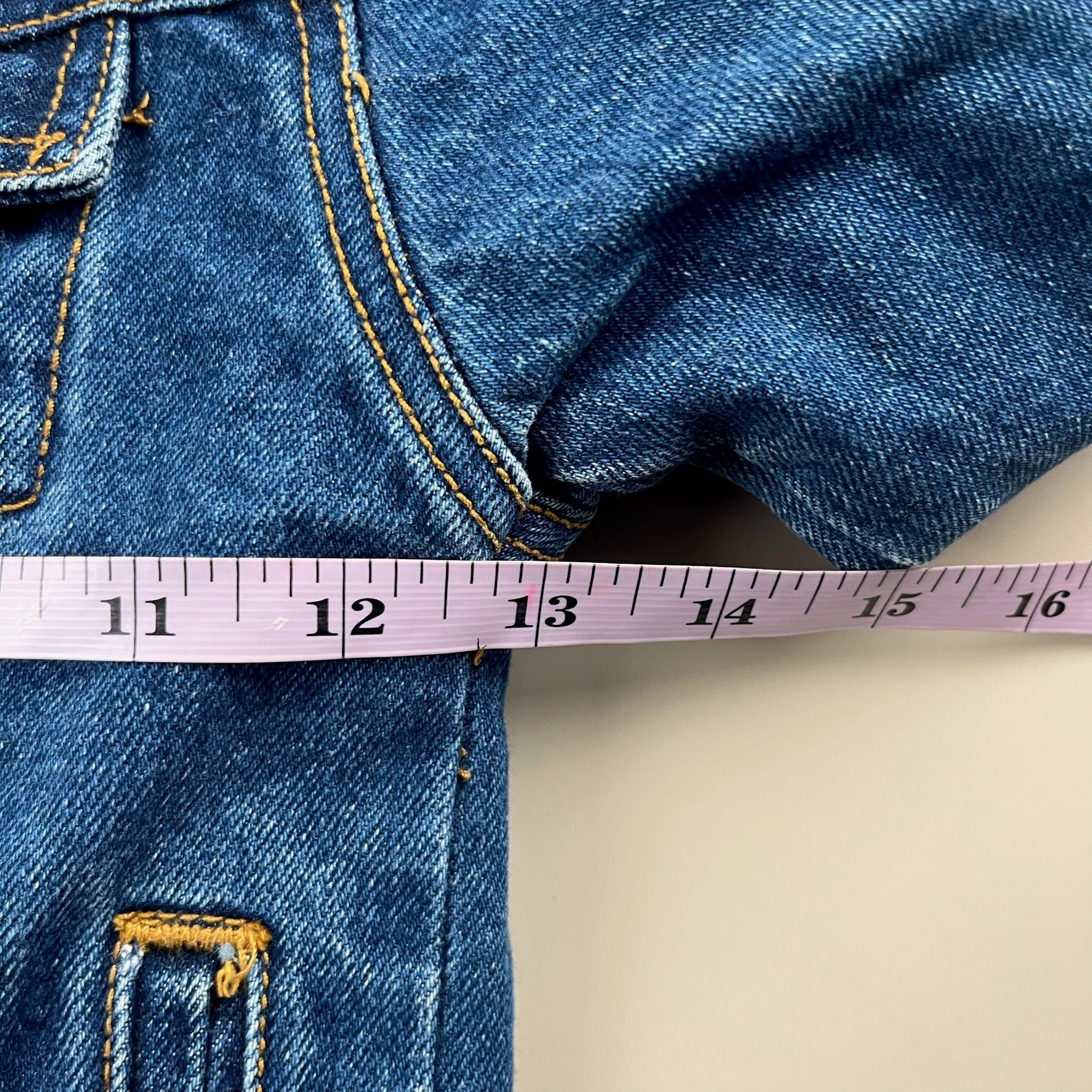 Vintage Lizard Denim Jacket 2T