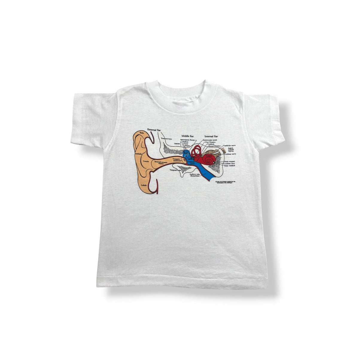 Vintage Ear Anatomy Tee 3/4T
