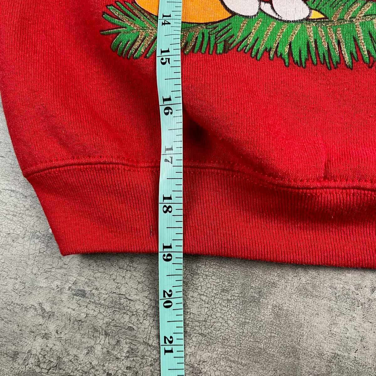 Vintage Holiday Tweety Crewneck 5T