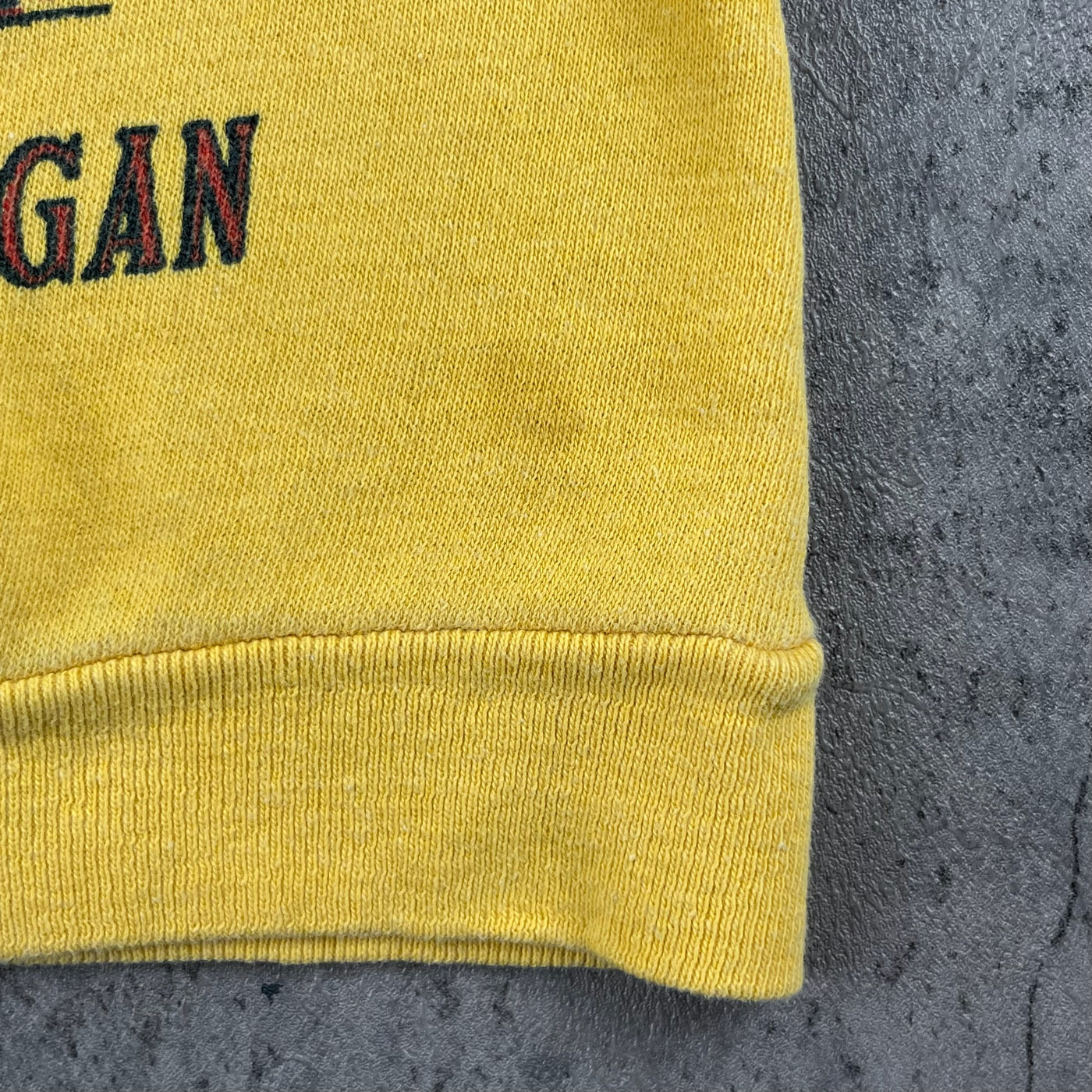 Vintage 60’s Michigan Crewneck 12 Months