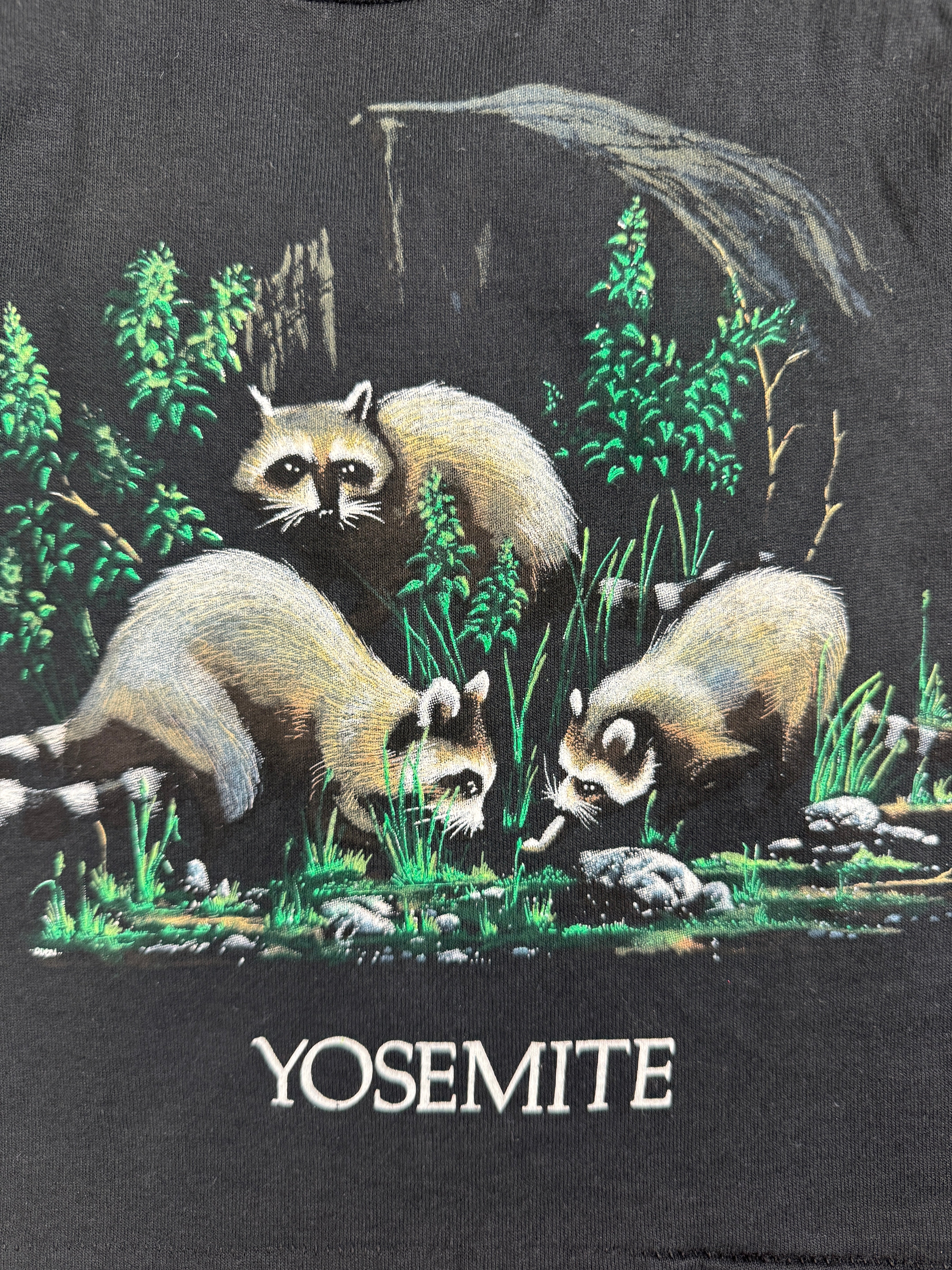 Vintage Yosemite Tee 24 Months