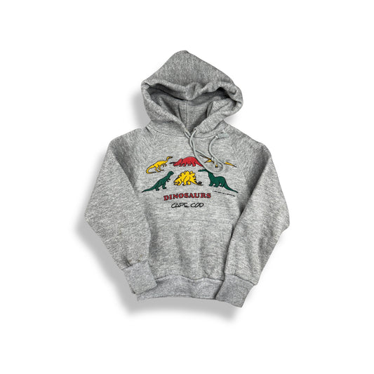 Vintage '87 Color Block Dinosaur Cape Cod Hoodie 3/4T