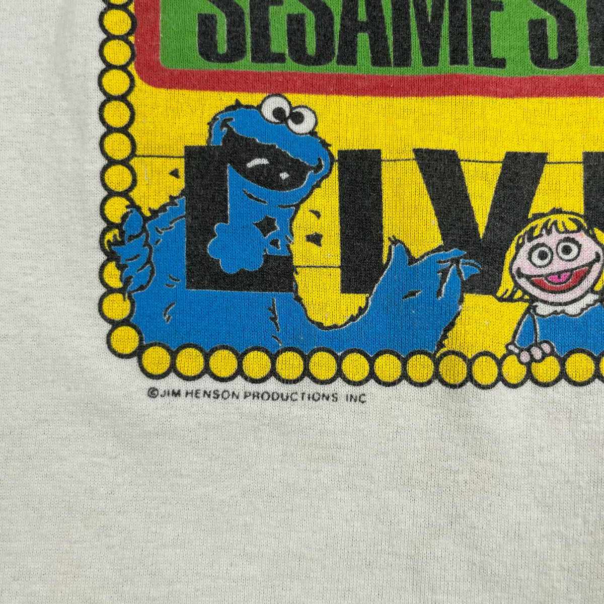 Vintage Sesame Street Live 6x